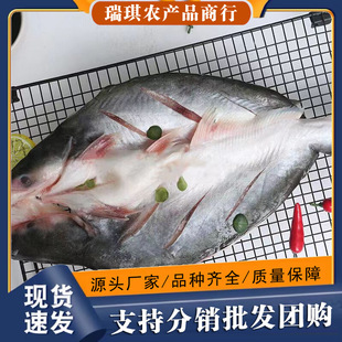 ���l��Ƥ�_����ɳ�~�ع��~���r��������~���~����9�l/10�l20���b