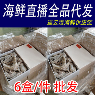 �ش�̖2030��ˮ���r �F���}�� ë�ؼs4�� ��ֻ16-18cm ����3.3��