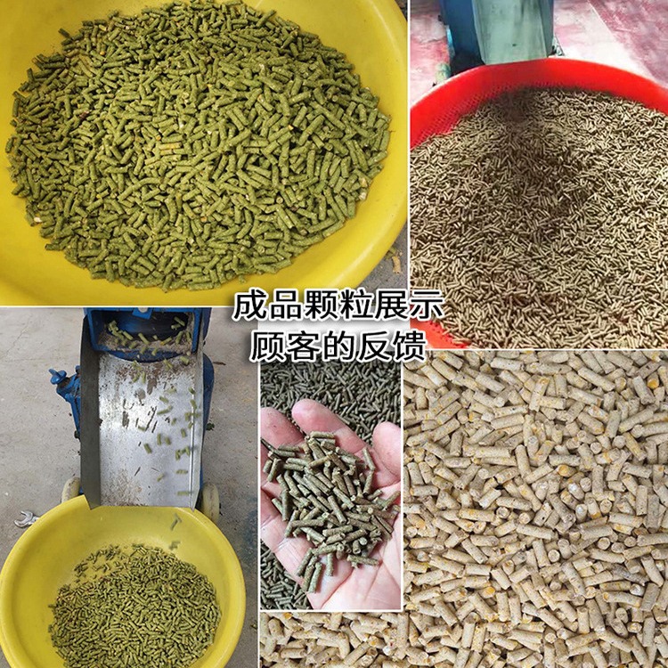 220v pequeño granulador de alimentos casero doméstico, equipo de cría de pollos, peces, cerdos, conejos, ganado y ovejas, uso húmedo y seco
