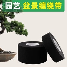 ��ɫ�q�������z���辰�p�@ֲ�������p�仨�ܾGֲ���������z��