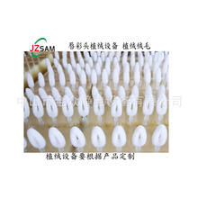 �����^�o�ֲ�q�Cֲ�q�O���o�ֲ�q�C��ˢ�Ԅ��o�ֲ�q���a���S��