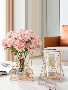 Creative Internet Celebrity Metallic Glass Vase Nordic Light Luxury Living Room Hallway Dining Table Flower Ornaments Bedroom Decorative Floriculture