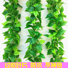 �ٗlֲ��پG�}�~���b��҃�늾��������������G�~���{���ړ�