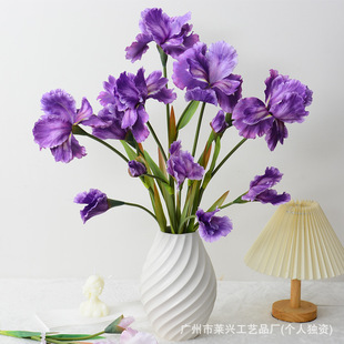 �Sβ���滨�ҾӾƵ�[���b�c·����������z����ٻ��羳���N