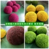 Customized iron frame colored Milan grass ball - 60 cm in diameter (semi-round price)