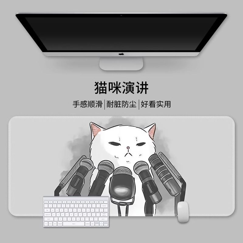 고양이 말하기