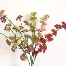 ��֧ܛ�zС��� ɭϵ������ӷ��滨�Ҿ��b�����Gֲ