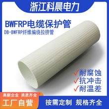 [�����S��]DB-BWFRP�������ش����w�S�����p�@���D����|���o��