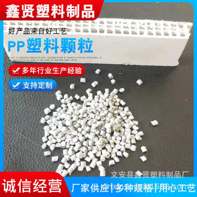 定制 建筑模板用 白色聚丙颗粒 原料 聚丙颗粒白色PP塑料颗粒原料|ru