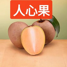 �Fժ���Ĺ����r���������ЋD������Fժϡ��Ҋ�B���˅����F؛