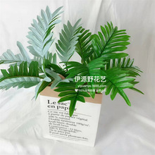 ���l��֧����ֲ�������~�ӻ����Ҿ��bٻ��GֲС����9����F��