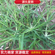 ���ݷN�� ţ��� Ұ�� �N��  ���Hק�o�¾G����ϲ��� �s��