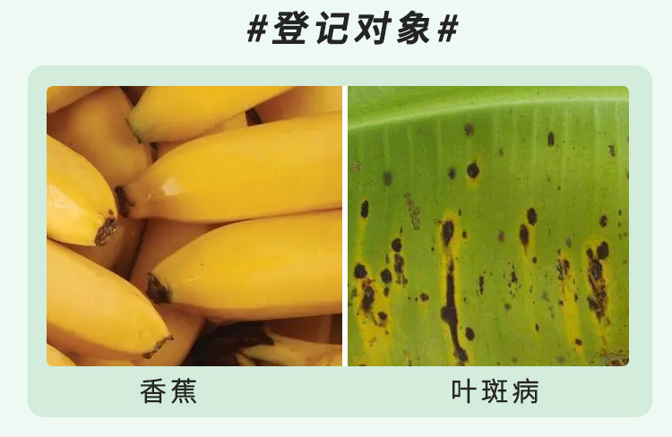 苯醚甲环唑-详情页_05