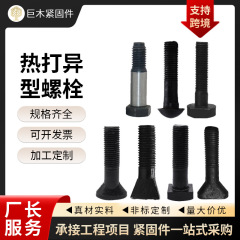 熱間圧造特殊形状ボルト、非標準特殊形状部品、冷間圧造特殊形状ボルト、高強度CNC旋盤特殊形状部品