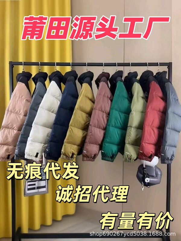 莆田纯原美版1996北脸羽绒服TNT700刺绣男女款立领潮流百搭外套服|undefined