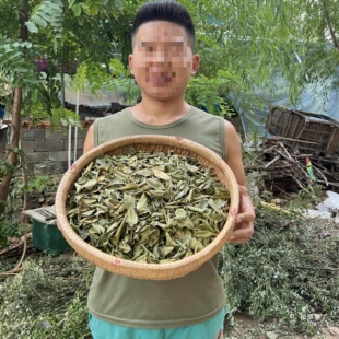 �����~Ұ�����ǘ��~���v���~��Ʒ���ǘ��~���v�~�ӕ���؛��؛