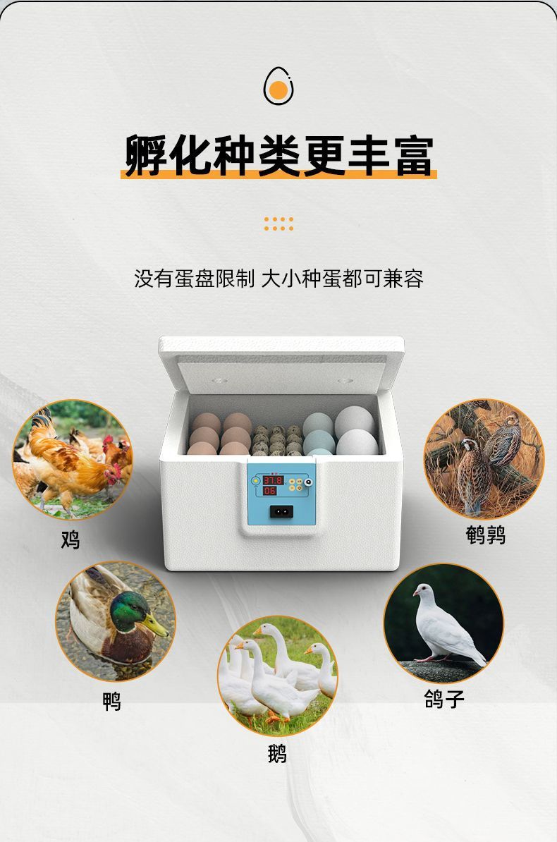 6b5a0e20-1dac-41bf-9b83-2a263d6371db.jpe