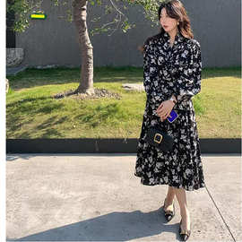 2025秋季玫瑰茶歇长款连衣裙花瑶印花气质V领长款碎花连衣裙
