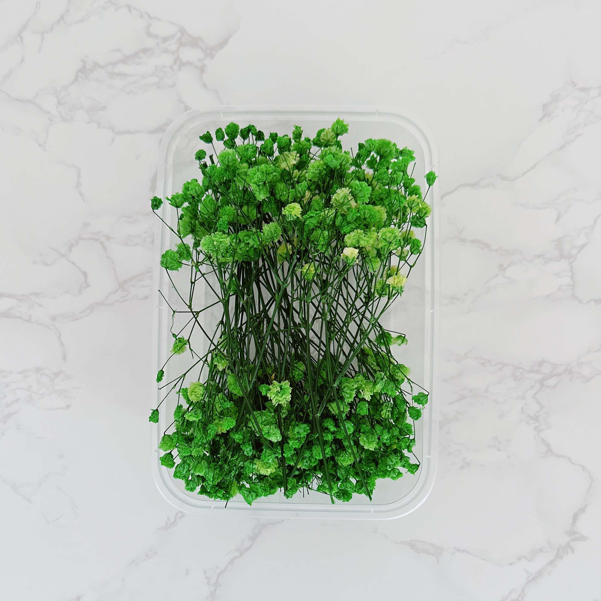 Cielo estrellado verde