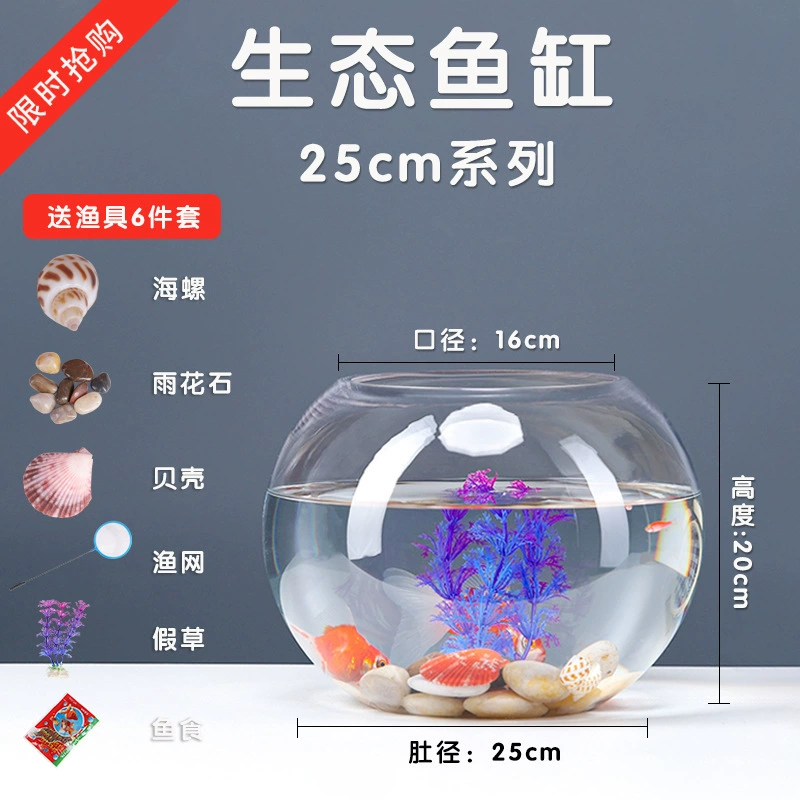 Transparent glass small aquarium for office