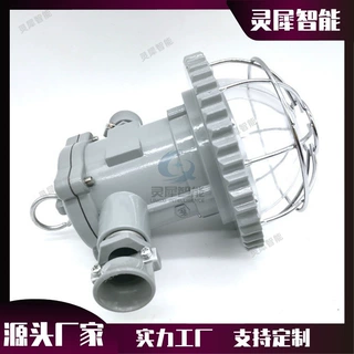 工厂定制矿用隔爆型巷道灯 DGS15/127L(A)矿用隔爆型LED巷道灯