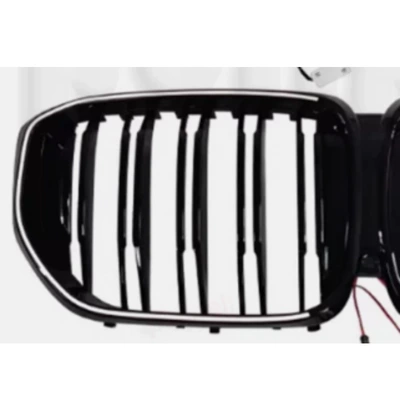 grille, front face accessories, Zhongwang