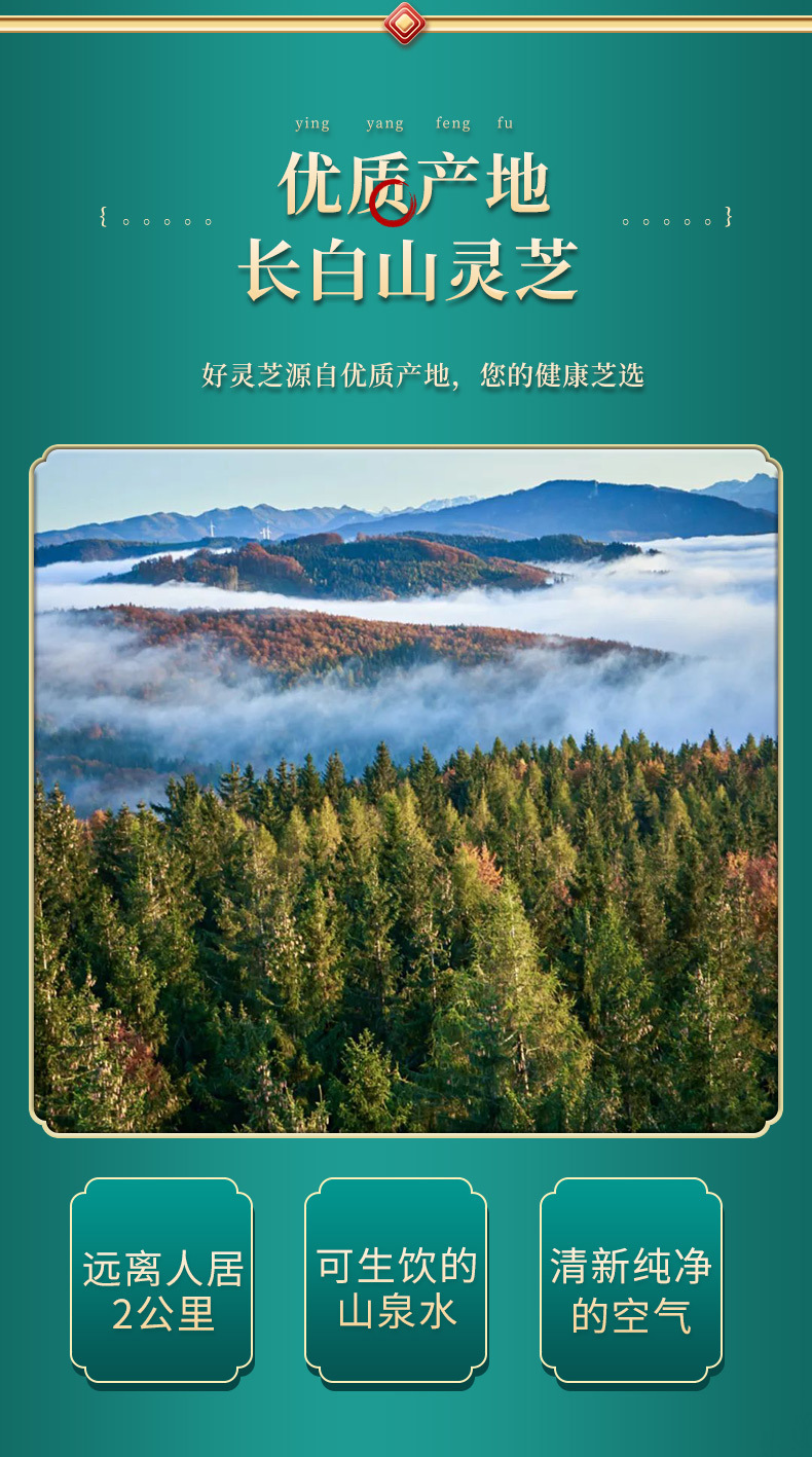 Reishi Mushroom Spore Powder 100g Ling Zhi Chi Zhi Cell Wall Broken for Daily Wellness key features