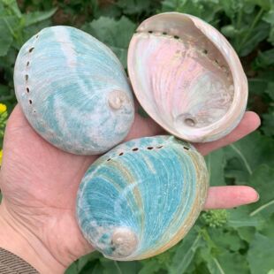 ��β�ݾG�U�~�� �羳���N�~���쾰�Ҿ������b�ȼ�������������l