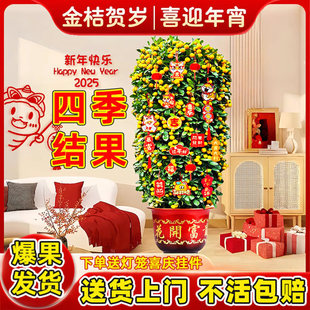 ��ۘ����Ԏ����͏d�Gֲ�҃ȴ���ֲ���k���҆��w��լ������Ә���