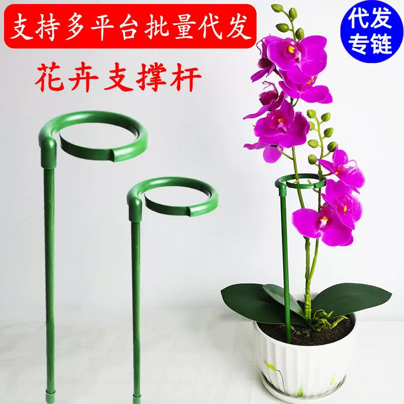 花架子植物园艺固定架室外花卉造型支撑杆蝴蝶兰爬藤防倒伏花支架