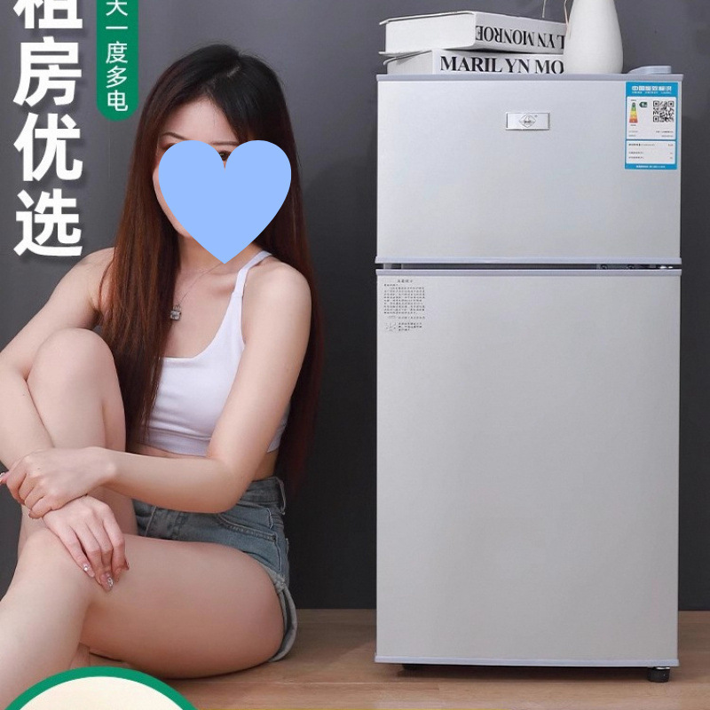 Small Refrigerator Household Small Dormitory Rental Room Freezer Refrigeration Mini Double Door Refrigerator First-Class Energy Saving