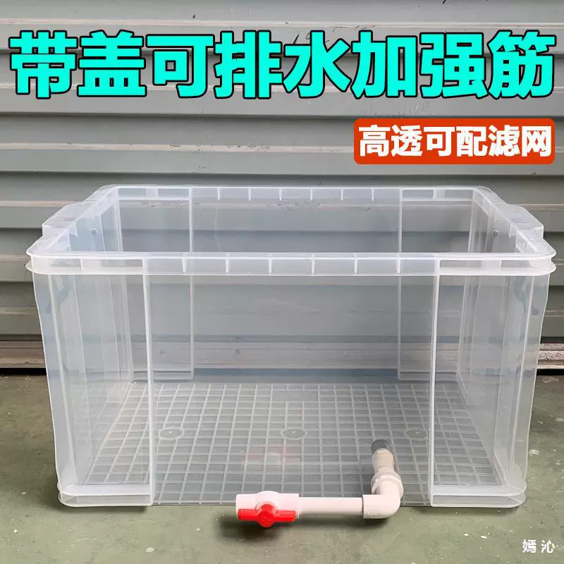 Экологический ландшафт Черепаха аквариум прозрачный с крышкой прямоугольный рыбный аквариум Домашняя декоративная черепаха черепаховая коробка