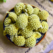 绿萝花  绿箩花饮 批发花茶