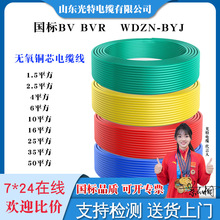 ���� ����BV�� �͟��o�uBYJ ��zܛ��RVR���b�� 1.5 2.5 4 6ƽ��