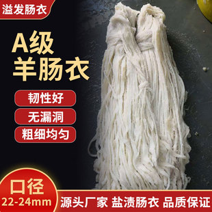 �S�����c��22-24�����c�¼��Ã�ͯ���ÿ��c�}�n�L�ɏVʽ�D�c����