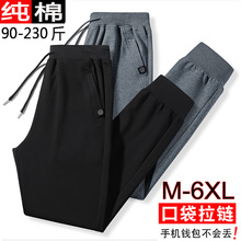 2026�����\��ѝ�д����������ְ���ѝ������a�ɾo�����eѝ��