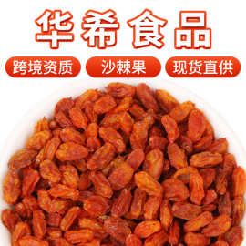 厂家批发内蒙食用沙棘果干新货沙棘果茶药食同源沙棘果粉散装500g