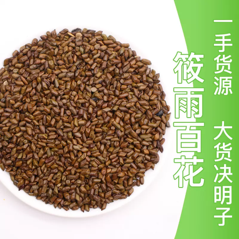 决明子散装大货熟决明子茶炒决明子沙滩枕芯花草茶源头货源决明子