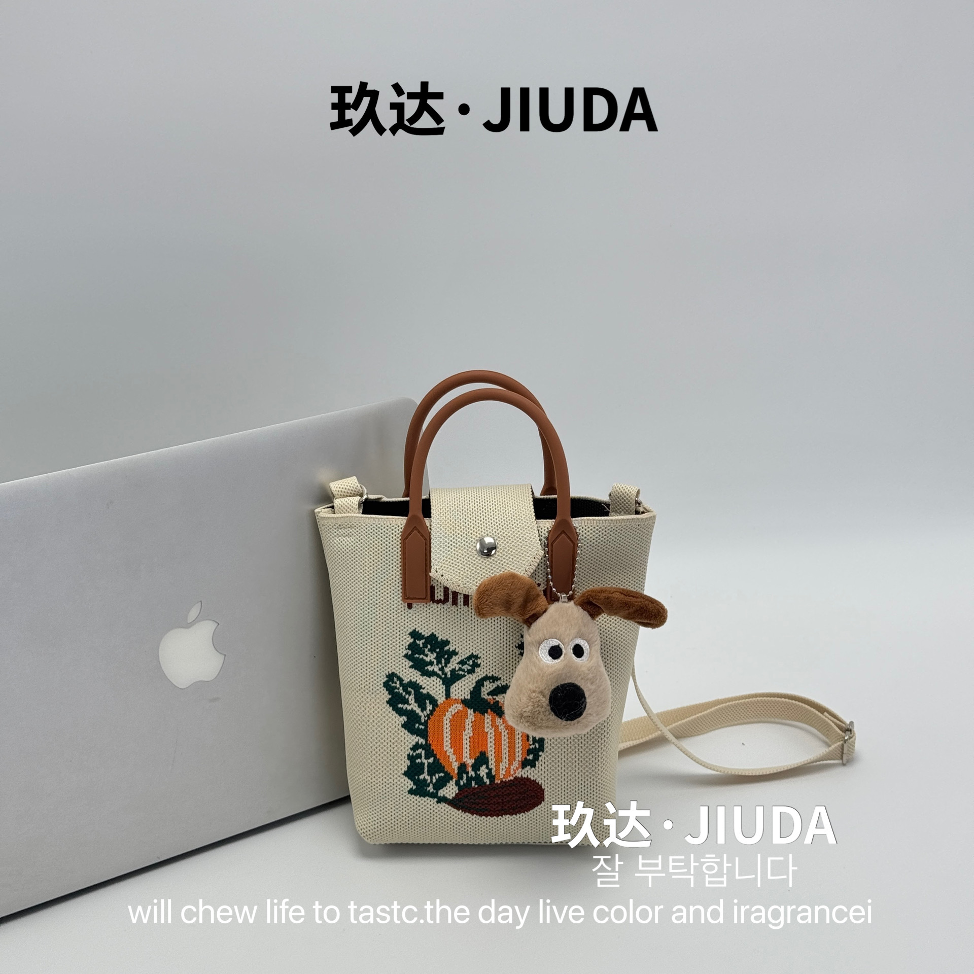 E- 012m 컬러 선인장 + 강아지