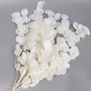 �O���~���������W�L�A�~�ȼ����������r�����҃��bGֲ�ɻ����l