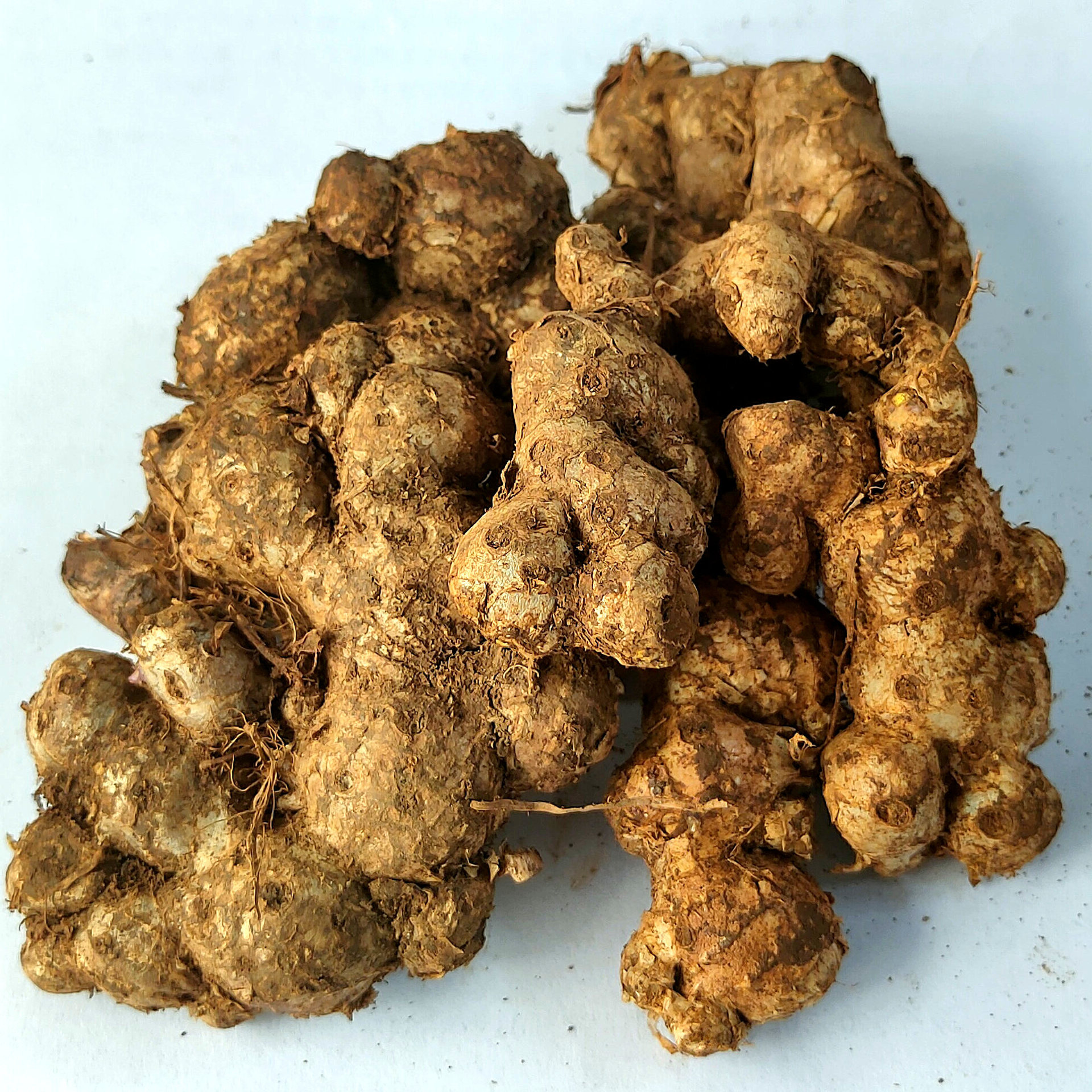 微信图片_20241226150124