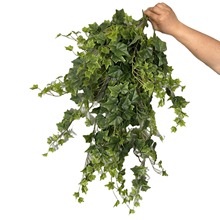 Slֲع~ٗl ˇbɽ ָܛz~