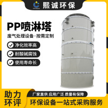 定制废气处理净化设备实验室耐腐蚀塑料阻燃旋流洗涤塔PP喷淋塔