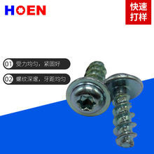 TORX�ݽz ÷�����ݽz T10,T15,T20÷�����ݽz torx screw