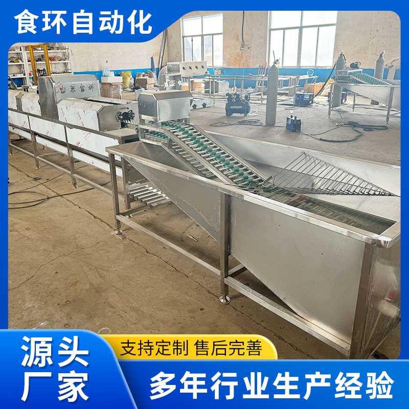 自动光检洗蛋机 保洁蛋清洗去泥设备 鸡蛋喷油保鲜全自动洗蛋机