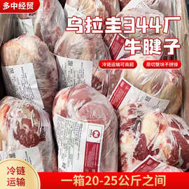 乌拉圭344厂牛腱子 新鲜冷冻原切牛腱子餐饮商用独立小包装腱子肉