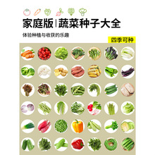 �߲˷N�Ӳ˷N�Ѵ�ȫ�r��������˷N���ļ����͟�߮a�}���N��