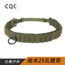 12GӵɢݴCSҰսЯ25 ֻ