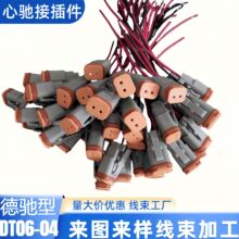 ӹDTP DT DTM  YBDT06-2S 234812Pĸ^