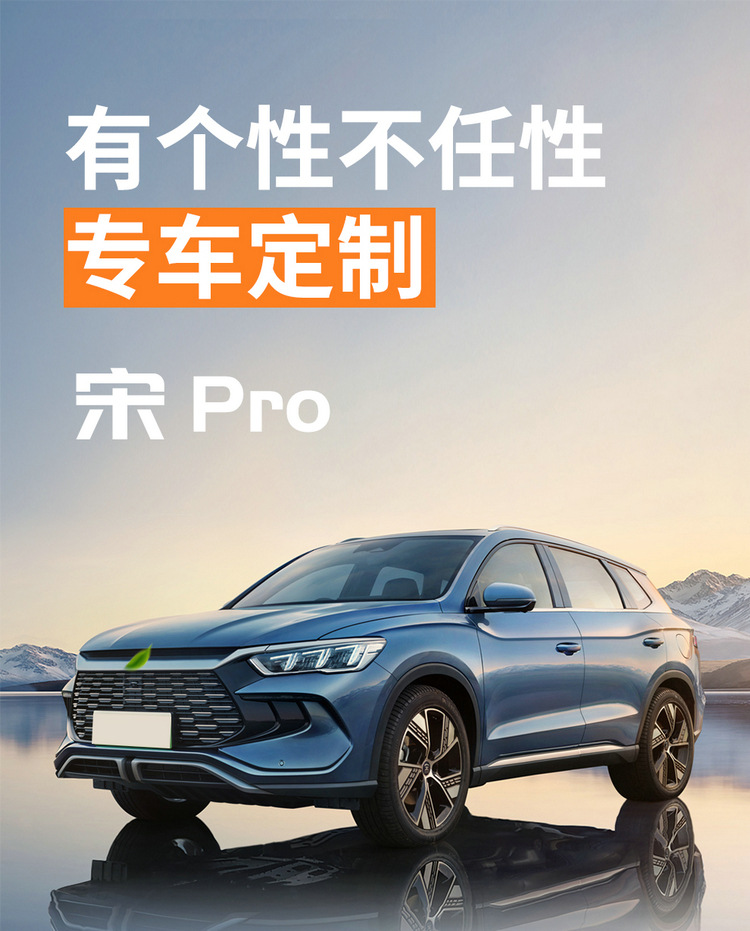 2025 BYD Song PLUS DM-i Napapi Car Cushion Four Seasons Seat Cover Special Cushion for Special Car